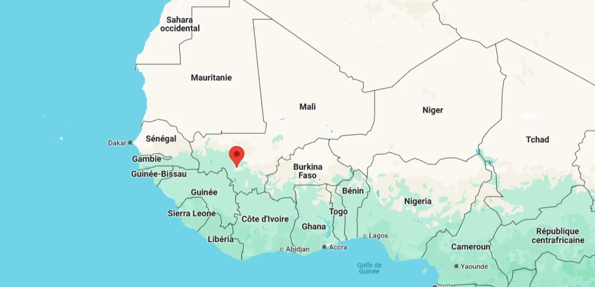 protest in Bamako against political party ban in Mali