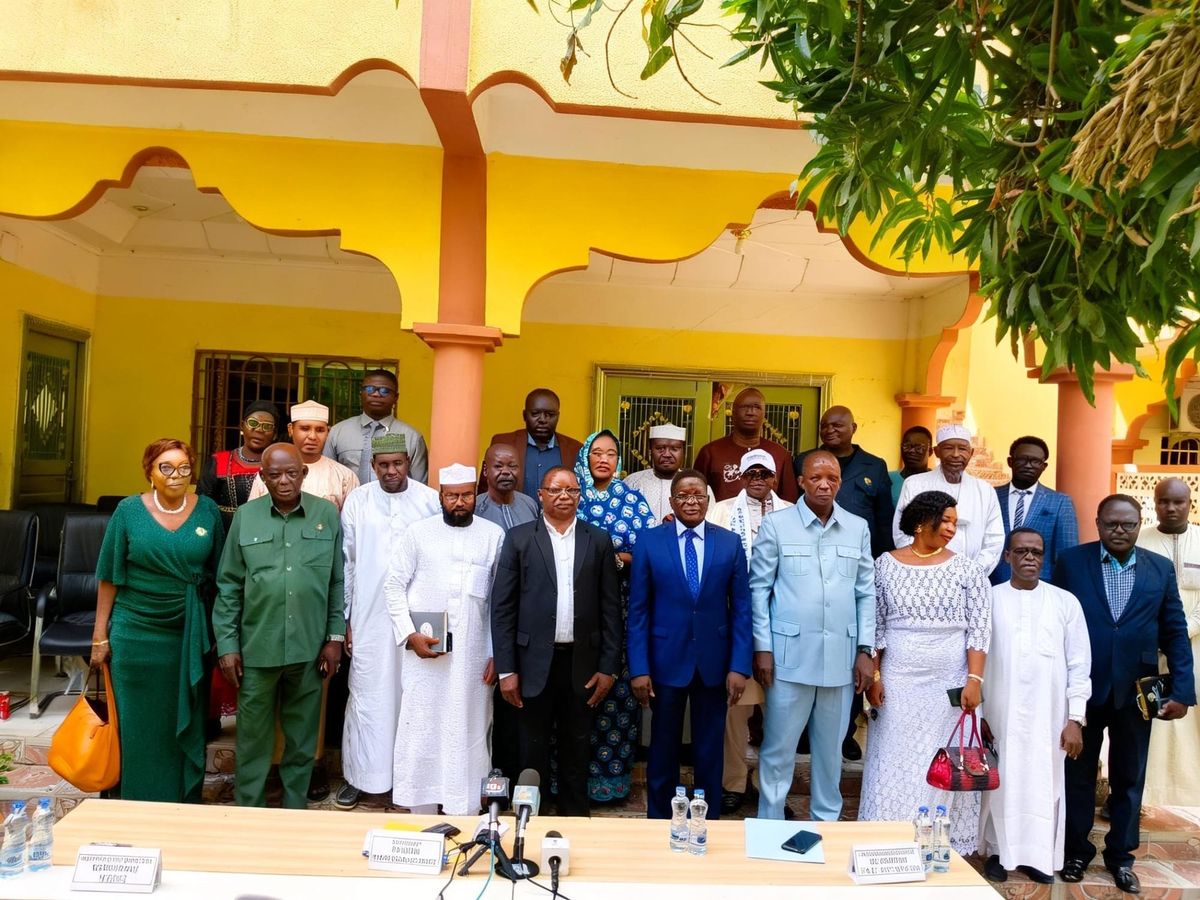 Tchad political reform roadmap presentation