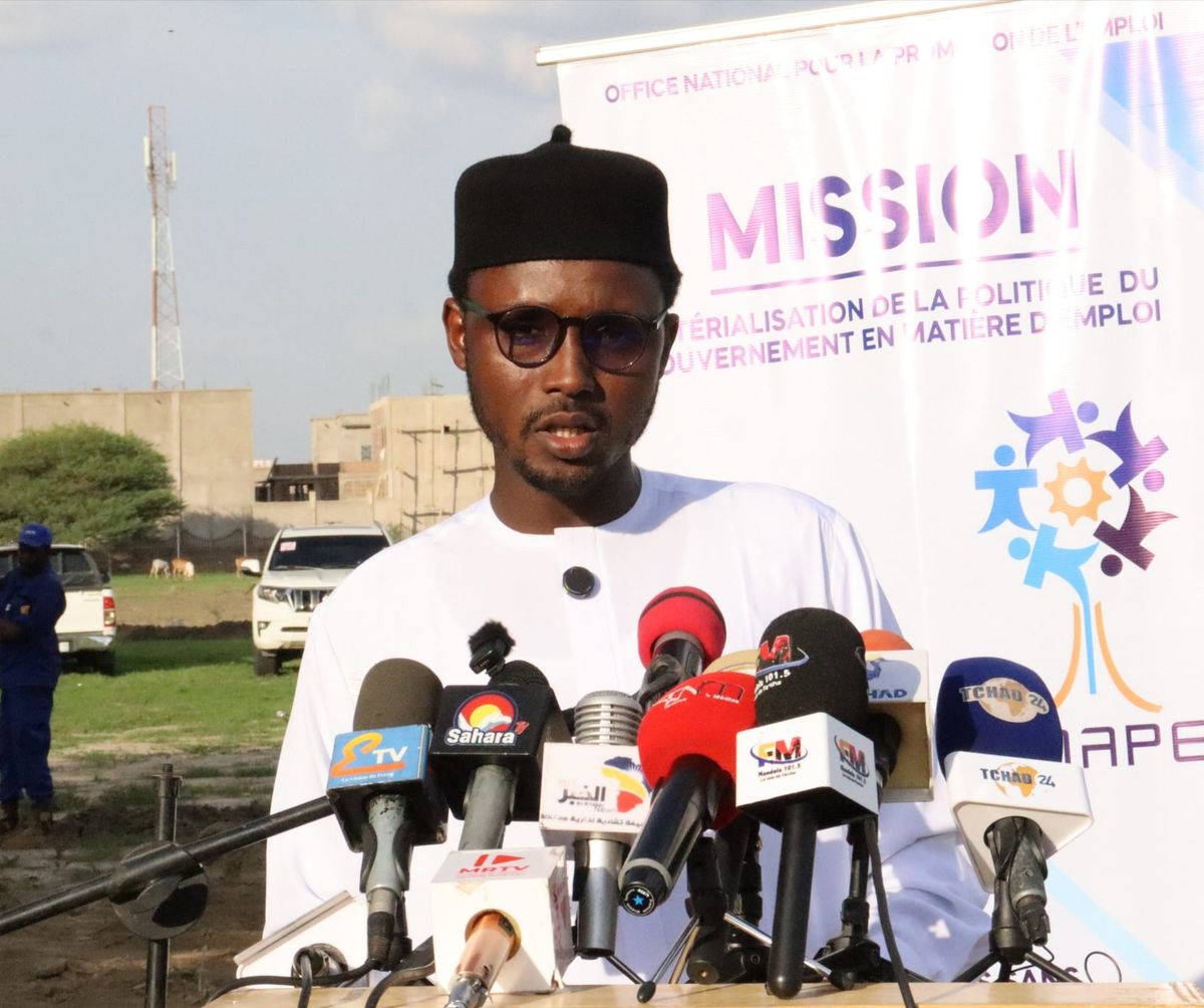200 young chadians trained in green jobs in N'Djamena